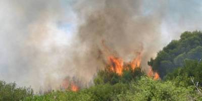 ΣΥΡΙΖΑ: &quot;Πλήρης αποτυχία του «επιτελικού κράτους» του κ. Μητσοτάκη και στη Μεσσηνία&quot;