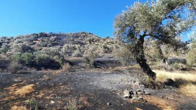 Φωτιά στο Ρέθυμνο: Μάχη με τις αναζωπυρώσεις και τους ανέμους - Νέα εκκένωση οικισμού (βίντεο)