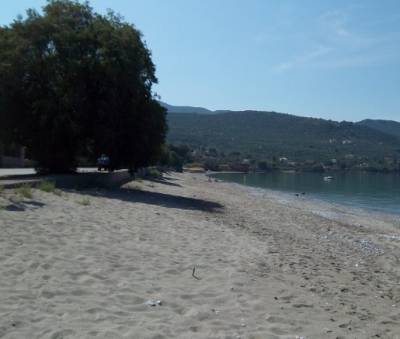Εξόρμηση καθαρισμού στην παραλιακή Αβία