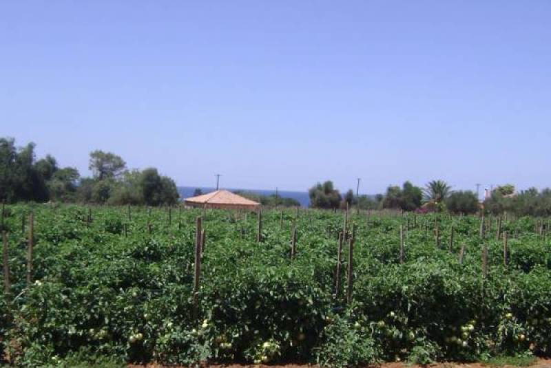 Αμεση παρέμβαση στο κόστος της αγροτικής παραγωγής