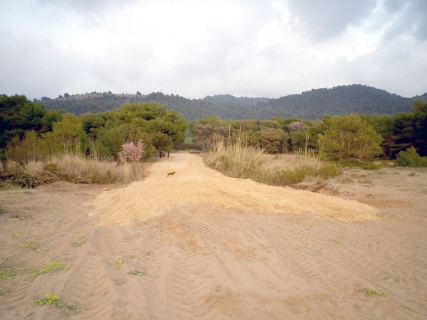 Συνεχίζονται οι παρανομίες στις παραλίες του Κυπαρισσιακού καταγγέλλει ο Σύλλογος "Αρχέλων"