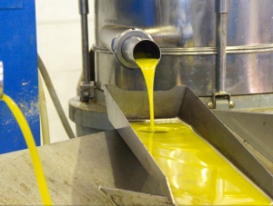 Ας ξεκινήσουμε με κοινή δράση στην αποθήκευση ελαιόλαδου