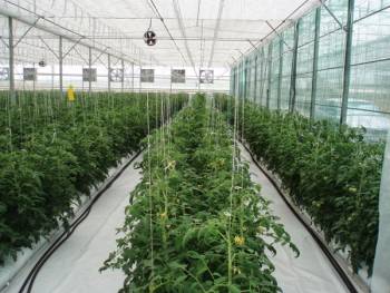 Διήμερο σεμινάριο εκπαίδευσης γεωπόνων στο ΤΕΙ