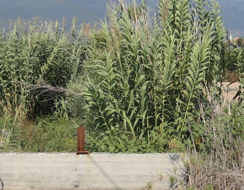 Καθαρισμούς ρεμάτων εξαγγέλλει ο Τατούλης