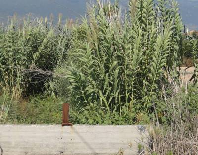 Καθαρισμούς ρεμάτων εξαγγέλλει ο Τατούλης