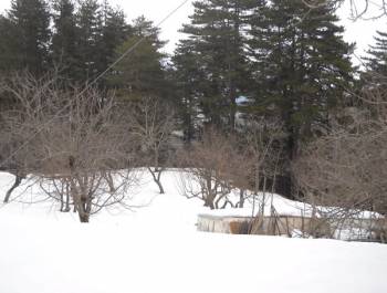 Αφιέρωμα στο βουνό από τον "Αλγόριθμο"