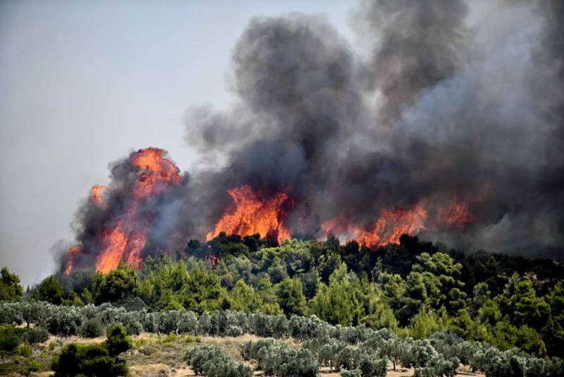 Η Μεσόγειος φλέγεται