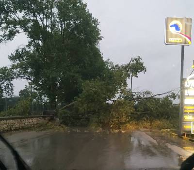 Μικρές ζημιές από την “Αθηνά” στην Τριφυλία