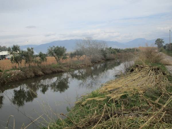 Ενημέρωση αρμοδίων