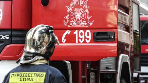 Κόρινθος: Πελώριο δέντρο ξεριζώθηκε και έπεσε στον κήπο νηπιαγωγείου (φωτο)
