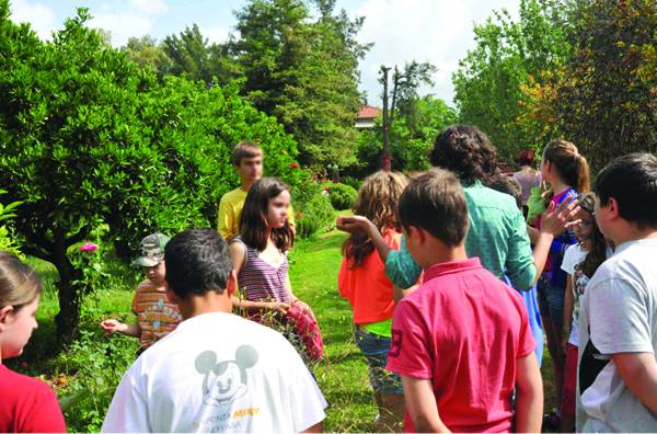 Αγρόκτημα Φοίφα: Εργαστήρια καλλιέργειας για μικρούς και μεγάλους