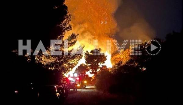 Ηλεία: Σε εξέλιξη μεγάλη φωτιά στο χωριό Κορυφή - Ισχυρές δυνάμεις στο σημείο