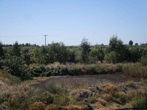 Λάκκοι με λυματολάσπη