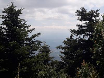 Eξόρμηση στον Βορειοδυτικό Ταΰγετο (φωτογραφίες)