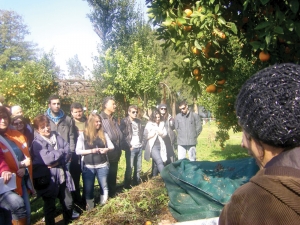 "Re:Think Project-ΞΑΝΑΣΚΕΨΟΥ" Απολογισμός Α' φάσης προγράμματος συνοικιακής κομποστοποίησης στον Δήμο Καλαμάτας, 2011-2012