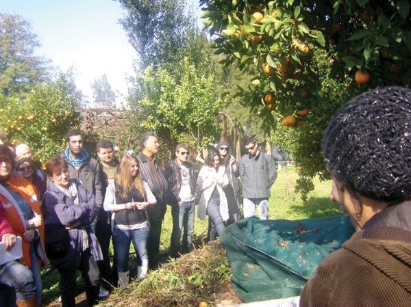 "Re:Think Project-ΞΑΝΑΣΚΕΨΟΥ" Απολογισμός Α' φάσης προγράμματος συνοικιακής κομποστοποίησης στον Δήμο Καλαμάτας, 2011-2012