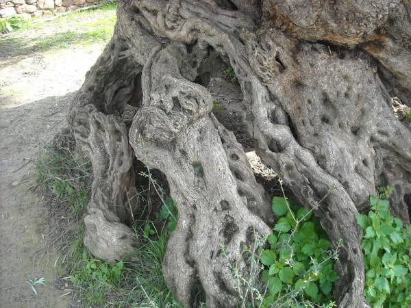 Τριήμερο σεμινάριο περιβαλλοντικής εκπαίδευσης