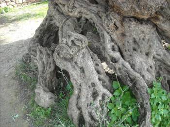 Τριήμερο σεμινάριο περιβαλλοντικής εκπαίδευσης