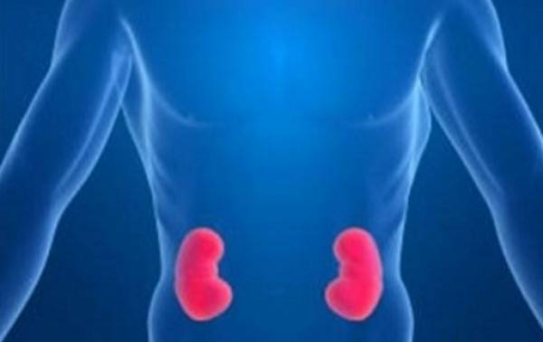 Στην Καλαμάτα το Συνέδριο Νεφρολογίας