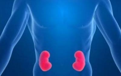 Στην Καλαμάτα το Συνέδριο Νεφρολογίας