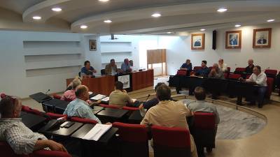 Επίσπευση ψεκασμών ζητούν στη Μεσσήνη: Ο δάκος εφιάλτης για τους ελαιοπαραγωγούς