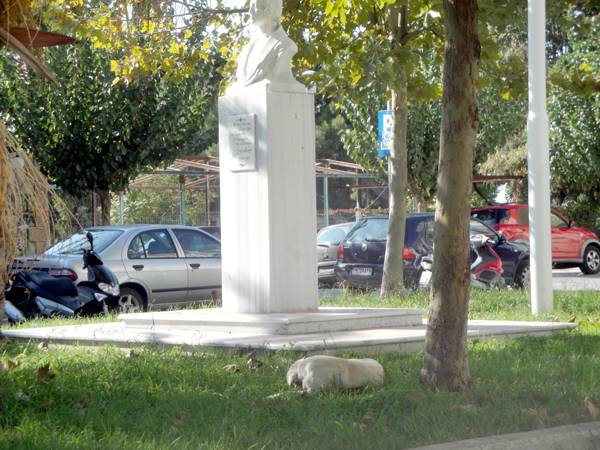 Επανάληψη του διαγωνισμού για την παρακολούθηση αδέσποτων