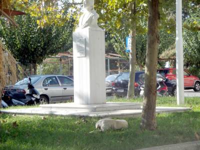 Επανάληψη του διαγωνισμού για την παρακολούθηση αδέσποτων