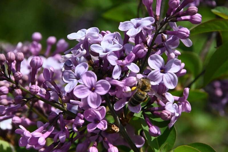 Οι πρώτες προβλέψεις για τον καιρό του Πάσχα: Έρχονται χαμηλότερες θερμοκρασίες