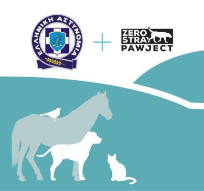 Zero Stray Pawject: Πώς καταγγέλλουμε ένα περιστατικό κακοποίησης ζώου στην Ελληνική Αστυνομία