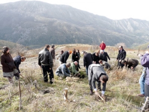 Αναδάσωση στον Ταΰγετο με συμμετοχή του ΣΚΑΪ