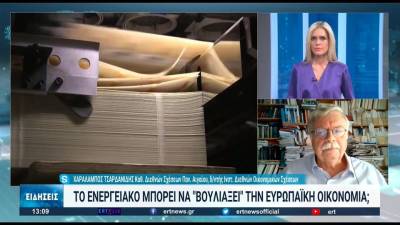 Χ. Τσαρδανίδης: "Η Ρωσία φαίνεται να επιδιώκει κοινωνική αναστάτωση στην ΕΕ" (βίντεο)
