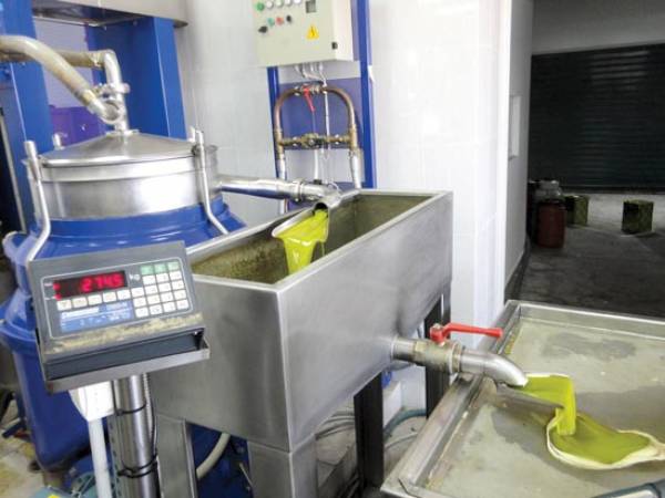 Εκδήλωση στο ΤΕΙ Καλαμάτας για τα ελαιοτριβεία
