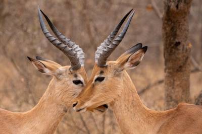 Τι λένε τα ζώδια σήμερα (4/12)