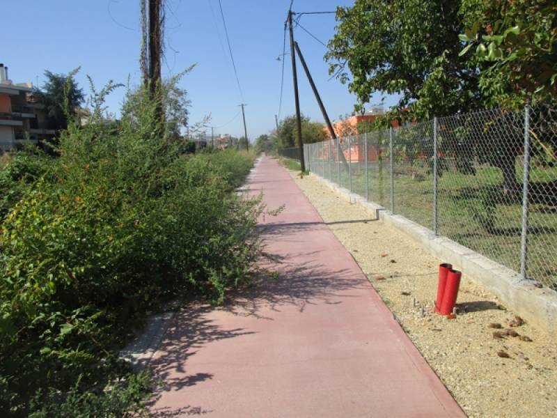 Χρειάζεται χορτοκοπτικό