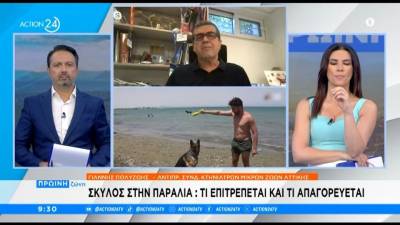 Σκύλος στην παραλία - Τι επιτρέπεται και τι απαγορεύεται;