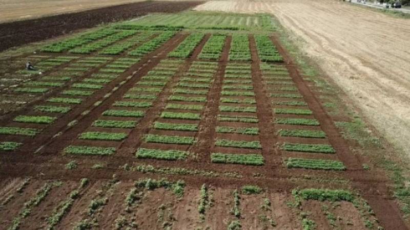 Η γνώση στο χωράφι: Το σχέδιο για μια νέα εποχή αγροτικής εκπαίδευσης στην Ελλάδα