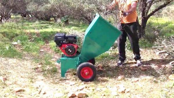 Επιδότηση στους ελαιοπαραγωγούς για να μην καίνε τα κλαδιά