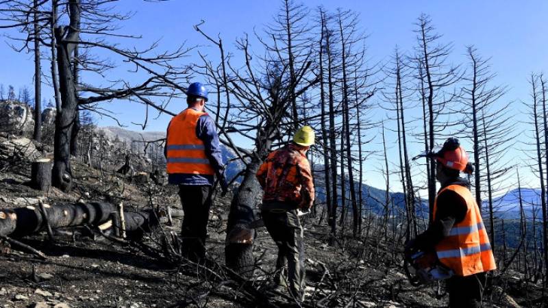 Υπεγράφη η έγκριση του Εθνικού Χάρτη Εκτίμησης Κινδύνου Δασικών Πυρκαγιών