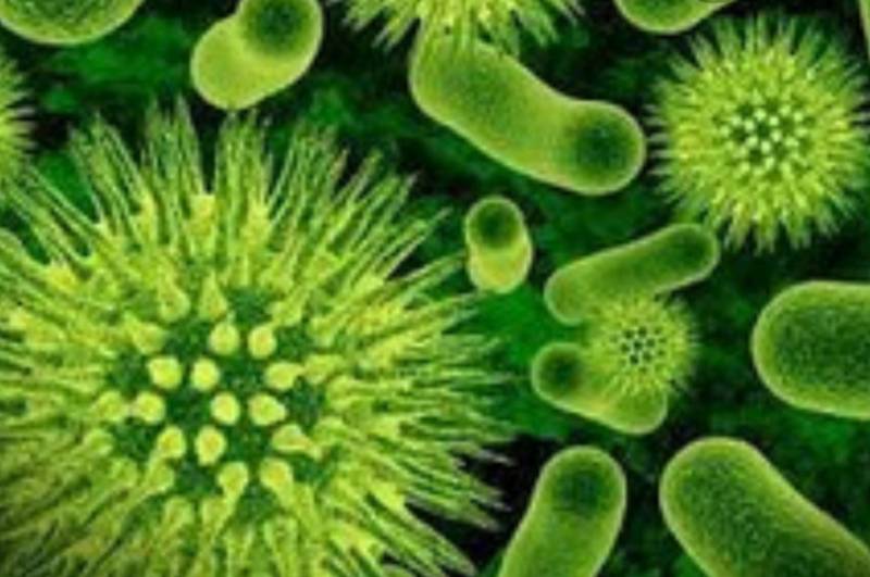 Εκδήλωση στην Καρδαμύλη για χρήσεις ενεργών μικροοργανισμών