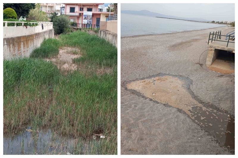 Διαμαρτυρία για την εικόνα ρύπανσης