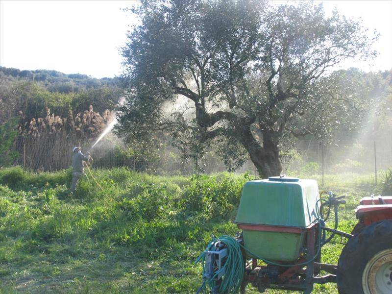 Ενημερωτική εκδήλωση για την καταπολέμηση του δάκου