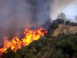 Σε εξέλιξη μεγάλη φωτιά στη Βλαχοκερασιά Αρκαδίας