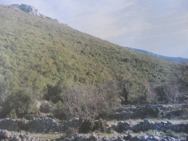 Ακύρωση απόφασης για λατομική περιοχή στην Πολιανή