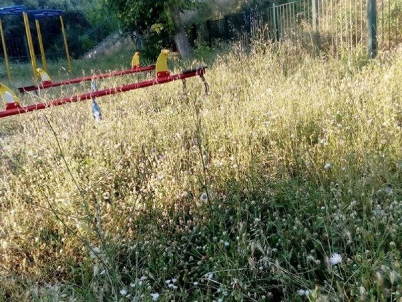 Περιμένουν και φίδια