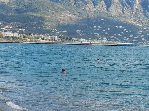 &quot;Τις έστειλε ο Χαρδαλιάς”