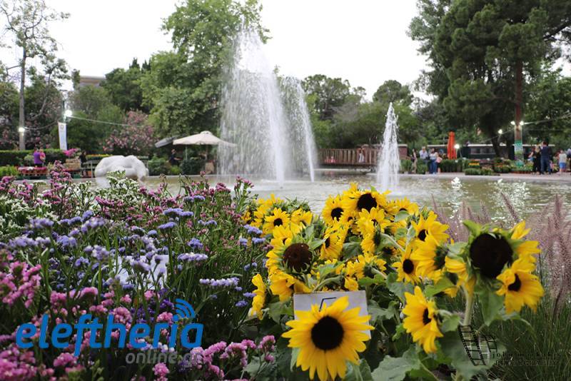 Θεσμός η Ανθοκομική έκθεση Καλαμάτας – Επιστρέφει για 13η χρονιά