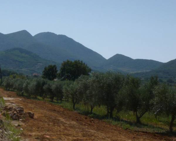 Ενα βήμα για τη μελέτη Ριζόμυλος - Σουληνάρι με την έγκριση του Κτηματολογίου