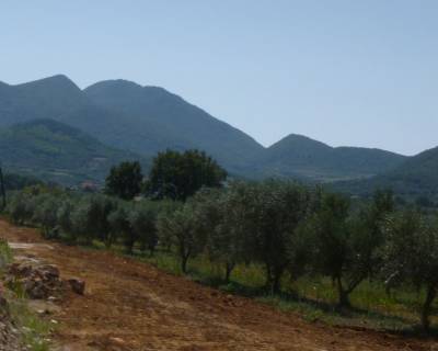 Ενα βήμα για τη μελέτη Ριζόμυλος - Σουληνάρι με την έγκριση του Κτηματολογίου