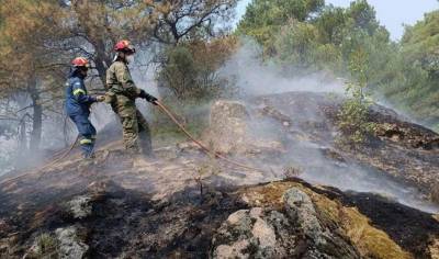 Ακόμα ένας μετανάστης βρέθηκε απανθρακωμένος στο δάσος της Δαδιάς