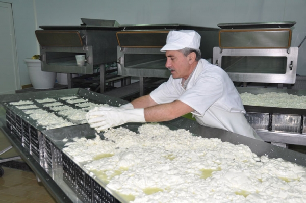 "Τυροκομική Μεσσήνης - Αφοί Γ. Πετρόπουλοι Α.Β.Ε.Ε.Τ."